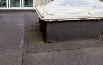 disadvantages of Denio flat roofs