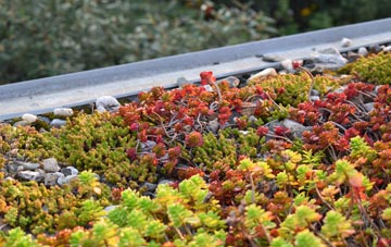 the cost of Denio green roof installation