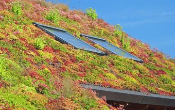 Denio living roof systems