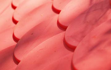 Denio plastic roof costs