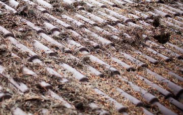 Denio roof cleaning companies