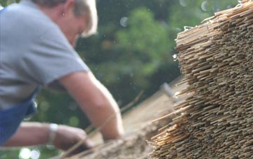 professional Denio thatchers