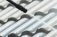 rated Denio roof cleaning companies